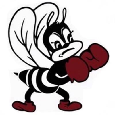 BHS Fighting Bee